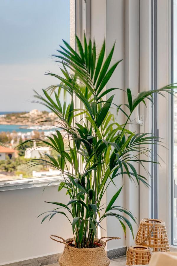 פיניקאס Villa Mare Syros מראה חיצוני תמונה